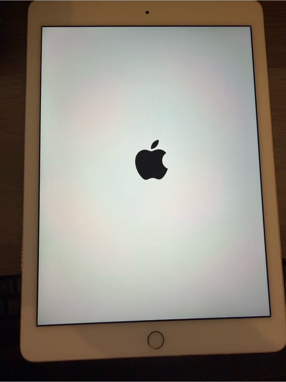 Apple iPad Air 2 wi-fi only